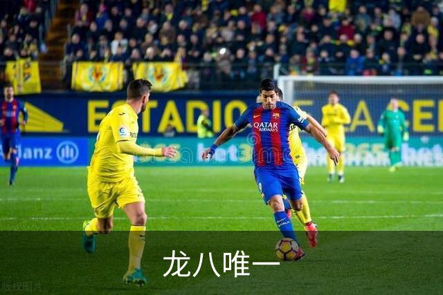 龙八唯一公司简介